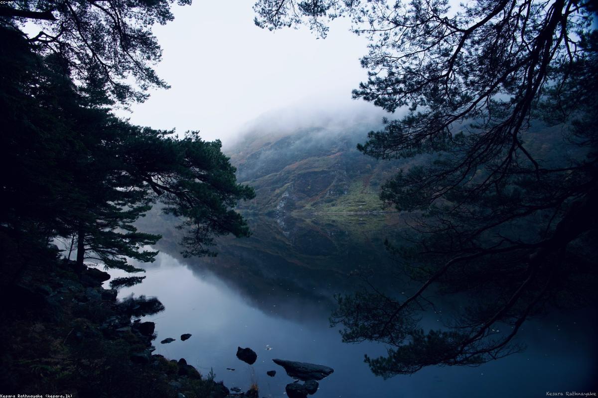 Landscape Photography for Beginners: Tips for Stunning Outdoor Shots