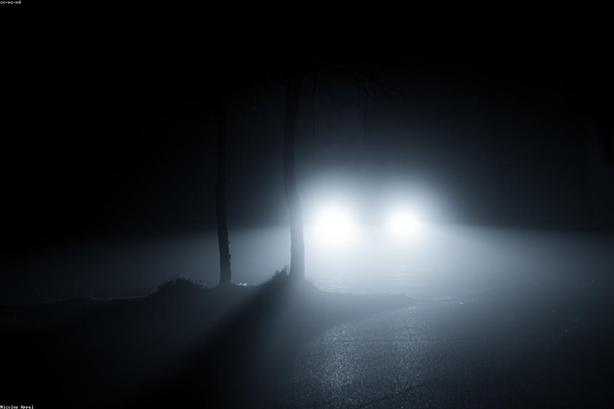 Photography tips for beginners