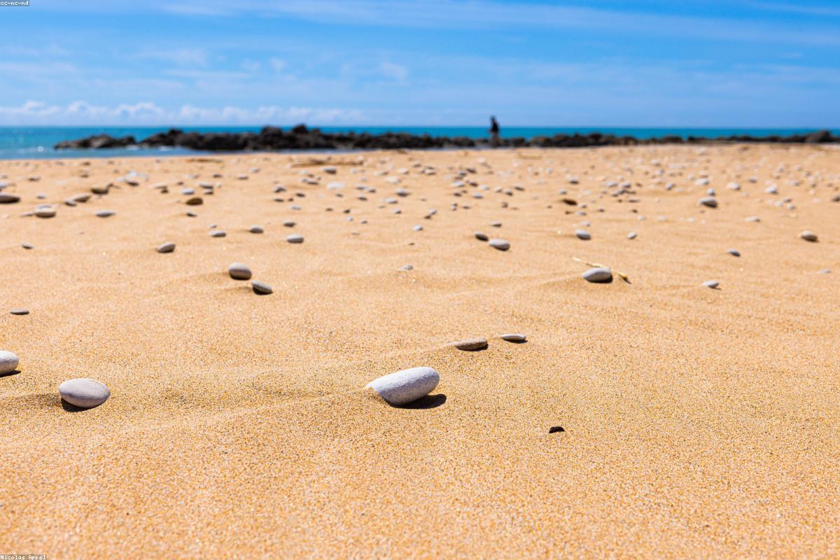 Photography tips for beginners